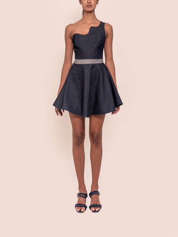 ALBEE DRESS DARK BLUE/ LIGHT BLUE