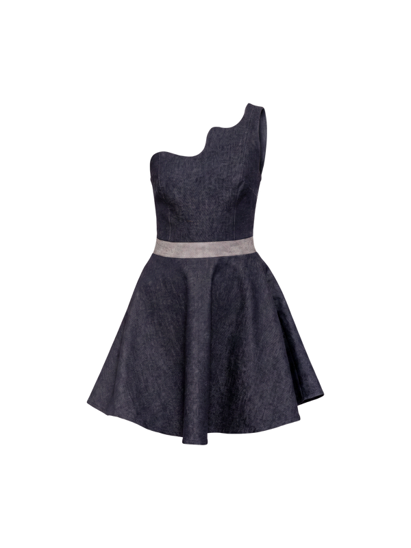 ALBEE DRESS DARK BLUE/ LIGHT BLUE